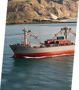 PP电子·仿照器(试玩游戏)官方网站